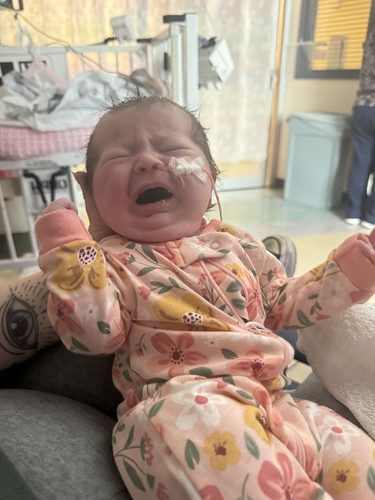 Audrey May Wendler expressing her strong displeasure